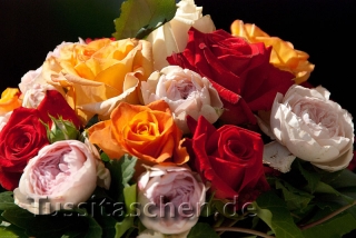 rosen_modenschau