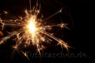 silvester_2009_10