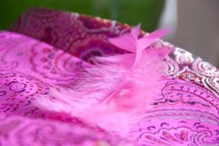 pinke_feder
