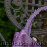 Detailaufnahme Träger und Schleife